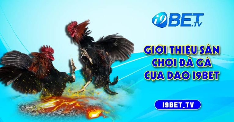 Giới thiệu sân chơi đá gà cựa dao I9bet