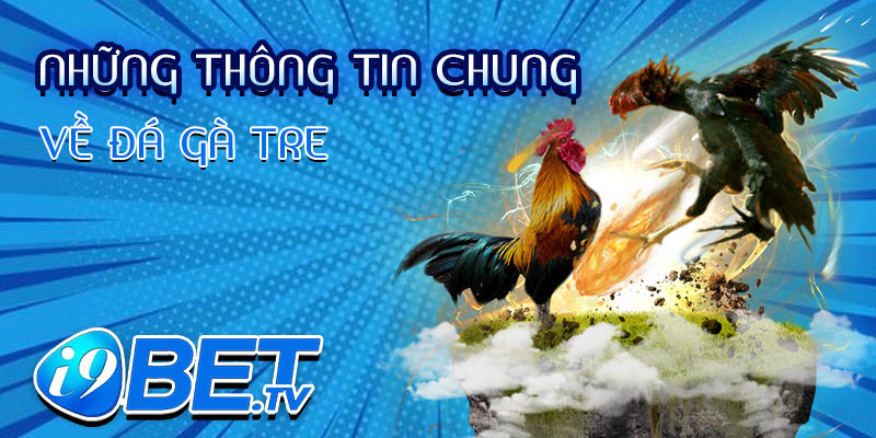 Những thông tin chung về đá gà tre