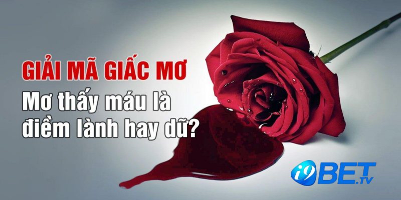 Mơ thấy máu là mang đến điềm gì?