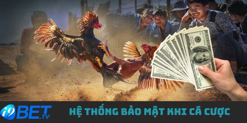 he-thong-bao-mat-cao-khi-choi-da-ga-hom-nay